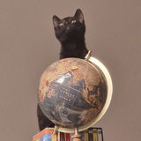 Cosmoticow