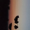 testing11