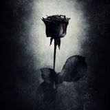 Lichtbringer