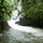 DarkForest