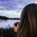 Tintina