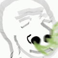 Smellsokay