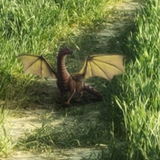 Pepperdragon