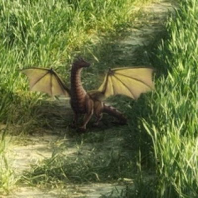 Pepperdragon