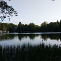 Dmariyan