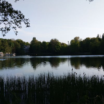 Dmariyan