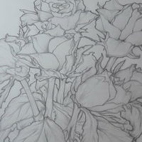 Rosalice