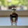 Itsmedavid