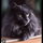 catsmirin