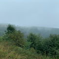Outlander
