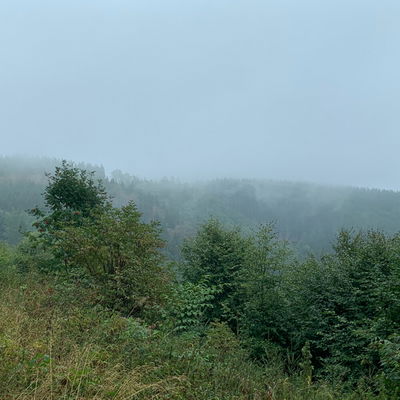 Outlander