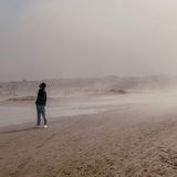 Felixebk