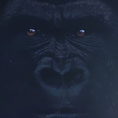 Maikel