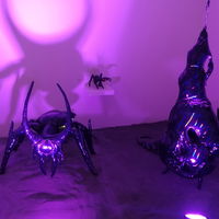 Xenomorph