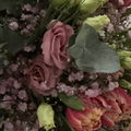 Mondblume