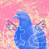 hato