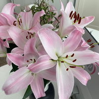 MariCarmen64