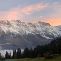 Cavea