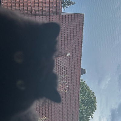Ferdistkl