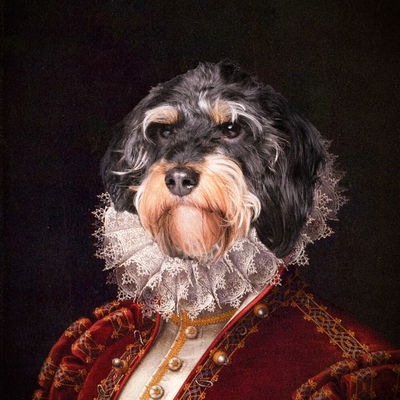 Schupschi
