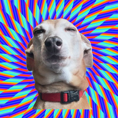 Itchynose