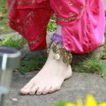 Bollylotte