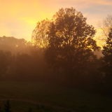 Donaunebel