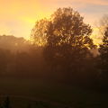Donaunebel