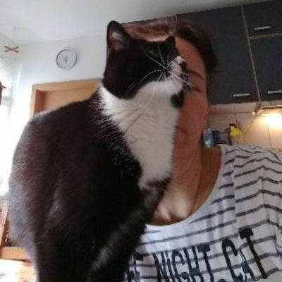 Giggletoe