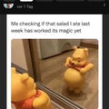 Dodo308