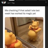 Dodo308
