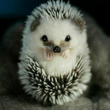 Mikxx