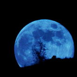 BlueMoon