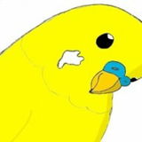 Bububu