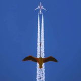 Mia777