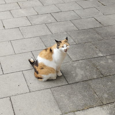LaAwood