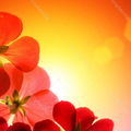 Thesun5