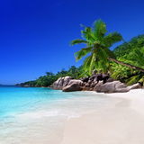 Seabreeze75
