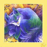 Catzone