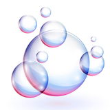 Scotti84