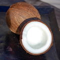 EmiliaLdm