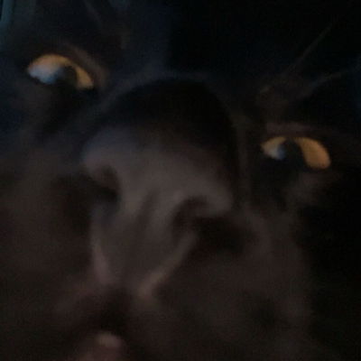 IHateNutmeg4