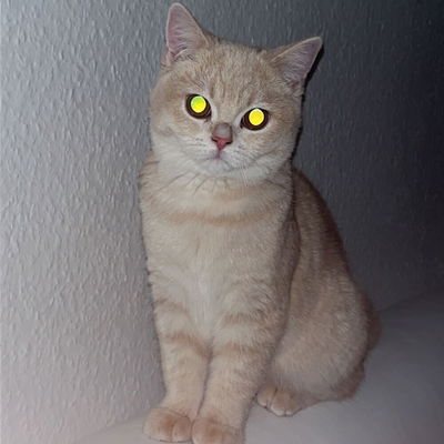 Chafic