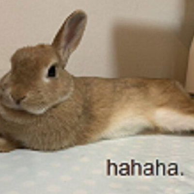 worldofbunny