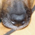 Malibo