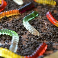 Gummyworm