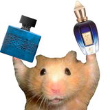 Davidp05