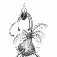 Triffid