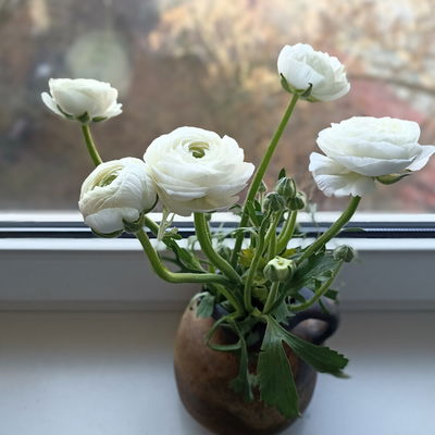Mondmädchen