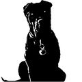 TheBark